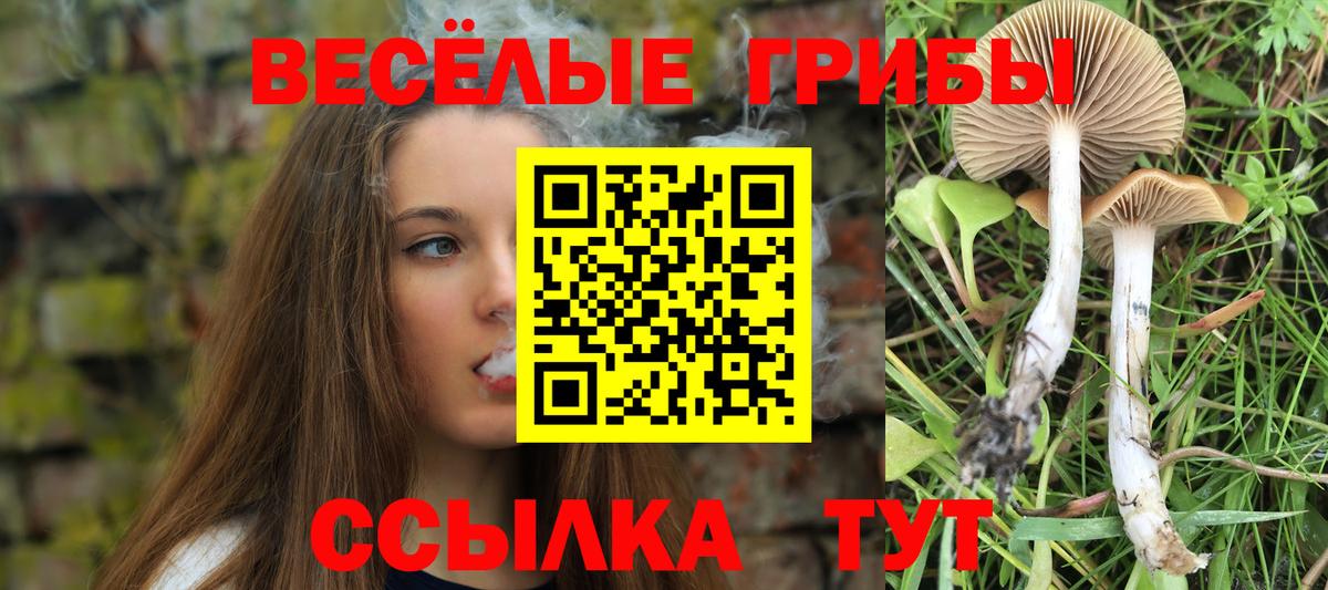 Галлюциногенные грибы MAGIC MUSHROOMS Отрадный